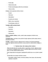 Konspekts 'Uzņēmuma stratēģijas un politikas vadība', 3.