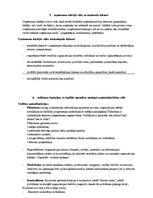 Konspekts 'Uzņēmuma stratēģijas un politikas vadība', 5.