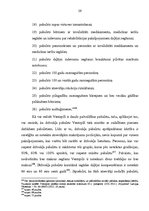 Diplomdarbs 'Pašvaldību sociālie pabalsti', 39.