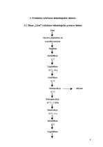 Prakses atskaite 'Prakse a/s "Rīgas Piena kombināts"', 9.