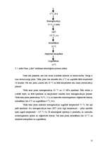 Prakses atskaite 'Prakse a/s "Rīgas Piena kombināts"', 10.