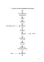 Prakses atskaite 'Prakse a/s "Rīgas Piena kombināts"', 11.