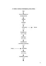 Prakses atskaite 'Prakse a/s "Rīgas Piena kombināts"', 13.