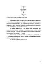 Prakses atskaite 'Prakse a/s "Rīgas Piena kombināts"', 14.