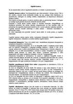 Prezentācija 'Digitālās kameras, to veidi un pielietojums', 18.