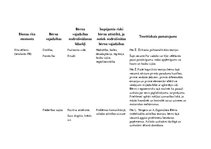 Konspekts 'Dienas rits pirmsskolā', 4.