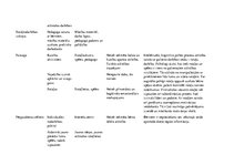 Konspekts 'Dienas rits pirmsskolā', 7.