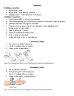 Konspekts 'Saitēšana', 1.