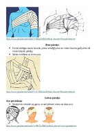 Konspekts 'Saitēšana', 4.