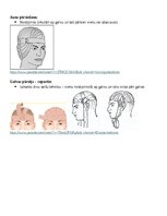 Konspekts 'Saitēšana', 5.