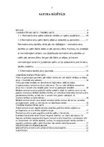 Referāts 'Iekšējie un ārējie normatīvie akti', 2.