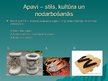 Prezentācija 'Apavi', 13.