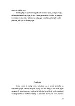 Referāts 'Sociālās identitātes teorija', 13.