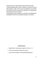 Referāts 'Sociālās identitātes teorija', 14.