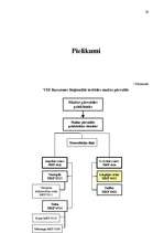 Prakses atskaite 'VID KRI Lejaskurzemes MKP daļas Liepājas ostas MKP 0411', 29.