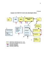 Prakses atskaite 'VID KRI Lejaskurzemes MKP daļas Liepājas ostas MKP 0411', 30.