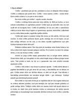 Konspekts 'Filosofija', 4.