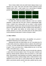 Diplomdarbs 'Bankas jaunā produkta veidošana un virzīšana tirgū', 16.