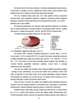 Diplomdarbs 'Bankas jaunā produkta veidošana un virzīšana tirgū', 59.