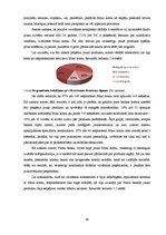 Diplomdarbs 'Bankas jaunā produkta veidošana un virzīšana tirgū', 68.