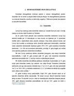 Referāts 'Demogrāfiskā situācija Latvijā', 5.