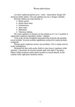 Biznesa plāns 'Medus pārstrādes uzņēmums - IK "Bitīte"', 5.