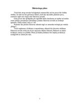 Biznesa plāns 'Medus pārstrādes uzņēmums - IK "Bitīte"', 7.