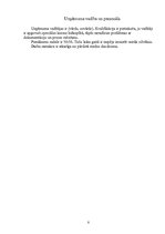 Biznesa plāns 'Medus pārstrādes uzņēmums - IK "Bitīte"', 8.