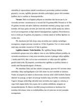 Referāts 'Sieviešu noziedzība', 39.