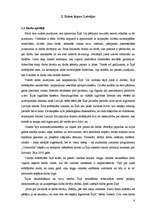 Referāts 'Latvieši Īrijā', 8.