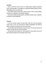 Referāts 'Latvieši Īrijā', 29.