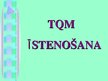 Referāts 'Kvalitātes vadības sistēmas (TQM) īstenošana', 12.