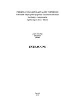 Konspekts 'Estragons', 1.