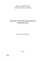 Konspekts 'Rekreācijas un brīvā laika komercuzņēmumu piedāvājumu izpēte', 1.