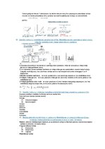 Paraugs 'Sistēmu modelēšanas eksāmena atbildes', 11.