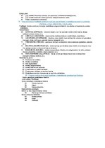 Paraugs 'Sistēmu modelēšanas eksāmena atbildes', 13.