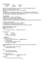 Konspekts 'Pirmā palīdzība. Veselības aprūpes studijas', 4.