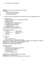 Konspekts 'Pirmā palīdzība. Veselības aprūpes studijas', 7.