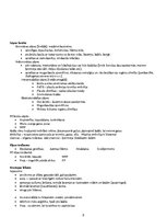 Konspekts 'Pirmā palīdzība. Veselības aprūpes studijas', 8.