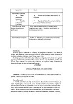 Prakses atskaite 'Atskaite par pedagoģisko un psiholoģisko novērojumu praksi', 11.