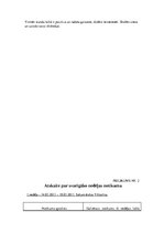 Prakses atskaite 'Atskaite par pedagoģisko un psiholoģisko novērojumu praksi', 29.