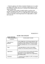 Prakses atskaite 'Atskaite par pedagoģisko un psiholoģisko novērojumu praksi', 44.