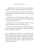 Referāts 'Maltoze', 4.