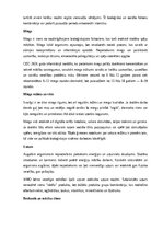 Referāts 'Skolēna bioloģisko un vides faktoru mijiedarbība', 5.