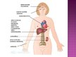 Prezentācija 'Vilsona slimība', 12.