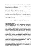 Referāts 'Uzņēmuma iekšējā un ārējā vide', 7.