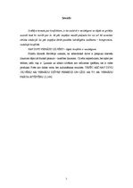 Referāts 'Konflikti', 2.