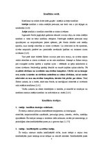 Referāts 'Konflikti', 4.