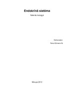 Referāts 'Endokrīnā sistēma', 1.