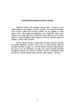 Referāts 'Endokrīnā sistēma', 5.